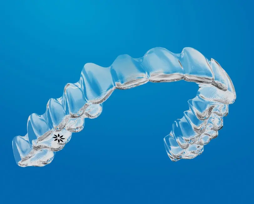 Orthodontics Treatment clinical image 2